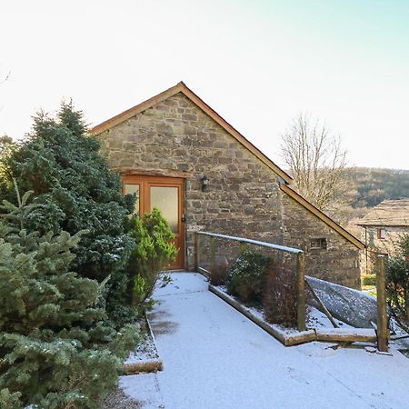 Villa Y Felin Llanybyther Exterior foto